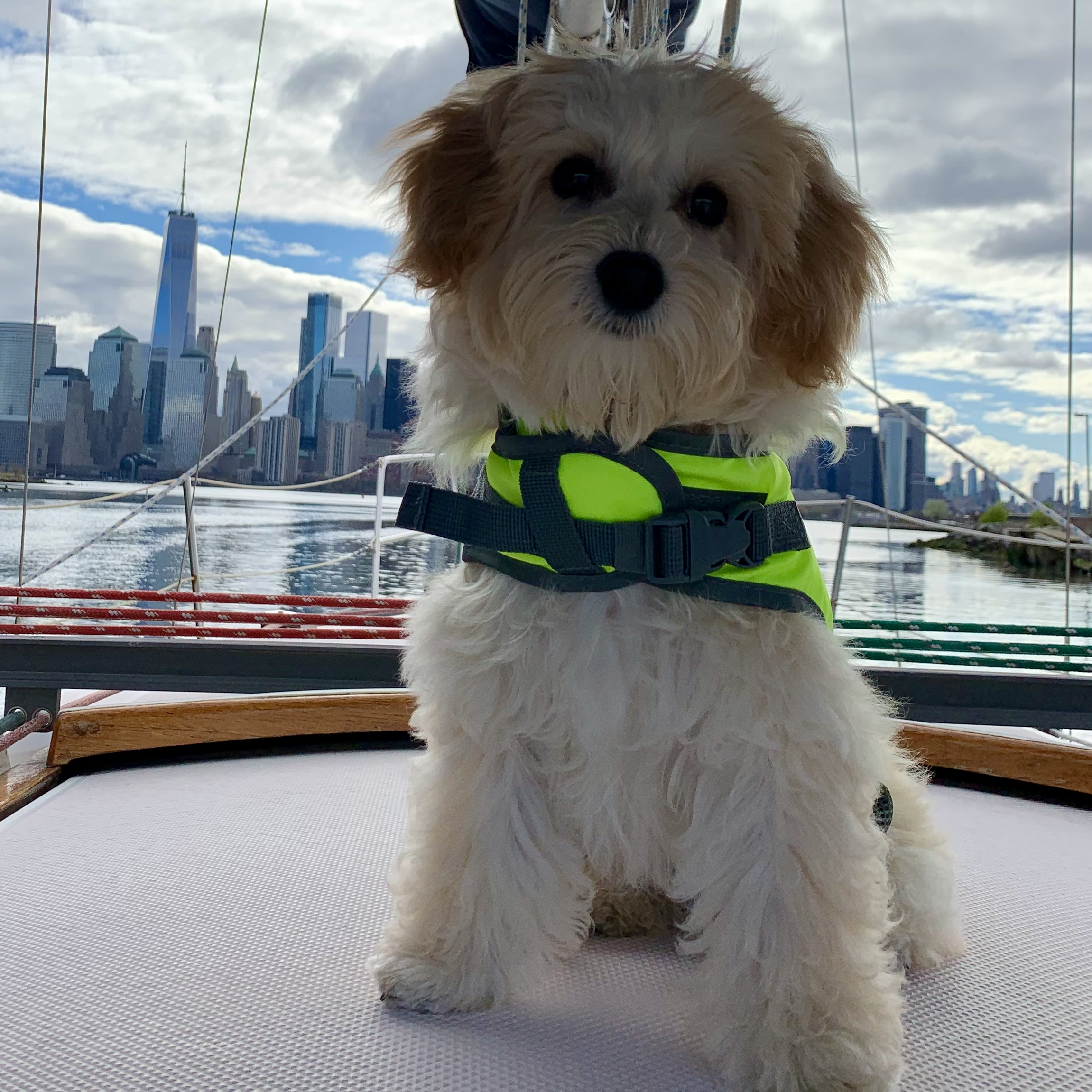 Download on the App Store 